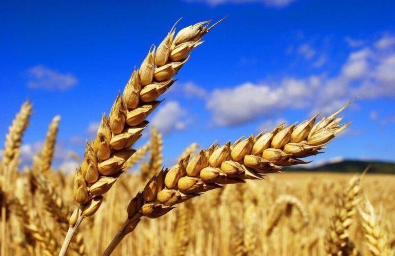 Happy Agricultural Worker’s Day